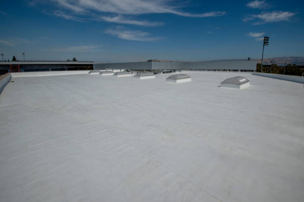 Best Roof Insulation Installation  in Lake Leann, MI