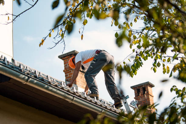 Best Tile Roofing Installation  in Lake Leann, MI