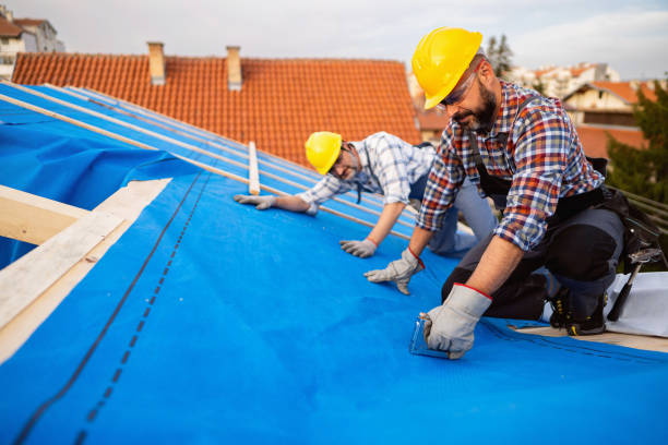 Best Rubber Roofing (EPDM, TPO)  in Lake Leann, MI