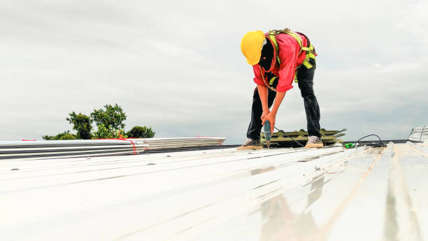 Best Rubber Roofing (EPDM, TPO)  in Lake Leann, MI