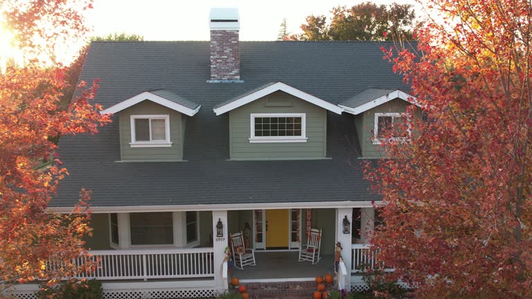 Best Chimney Flashing Repair  in Lake Leann, MI