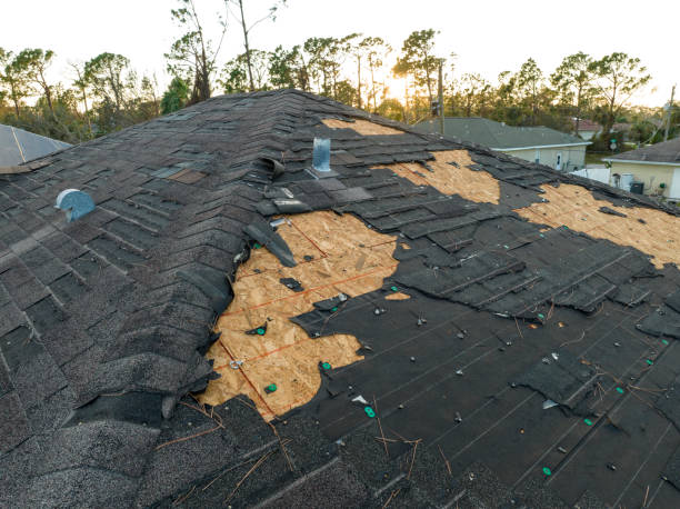 Best Sheet Metal Roofing  in Lake Leann, MI