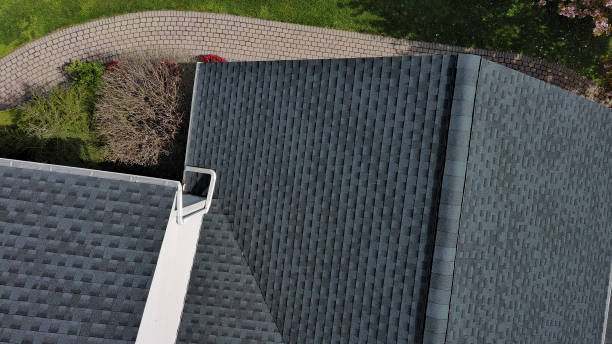 Best Asphalt Shingle Roofing  in Lake Leann, MI