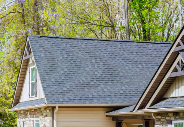 Best Gutter Installation and Repair  in Lake Leann, MI