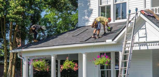 Best Emergency Roof Repair Services  in Lake Leann, MI